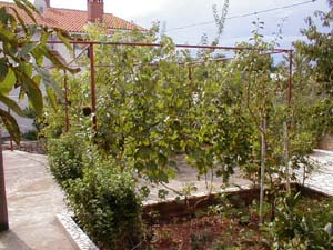 Appartement&nbsp;puric1