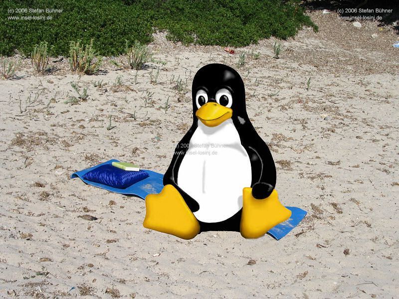 das Beweisfoto - auch um Ufer gibt es Sand pur ... wie an der Ostsee .. und damit nicht immer die gleichen Typen auf den Bildern zu sehen sind konnte ich f�r diesen Schnappaschu� einen Tux als Modell gewinnen :-)